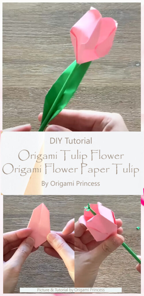 Origami Tulip Flower - Origami Flower Paper Tulip By Origami Princess