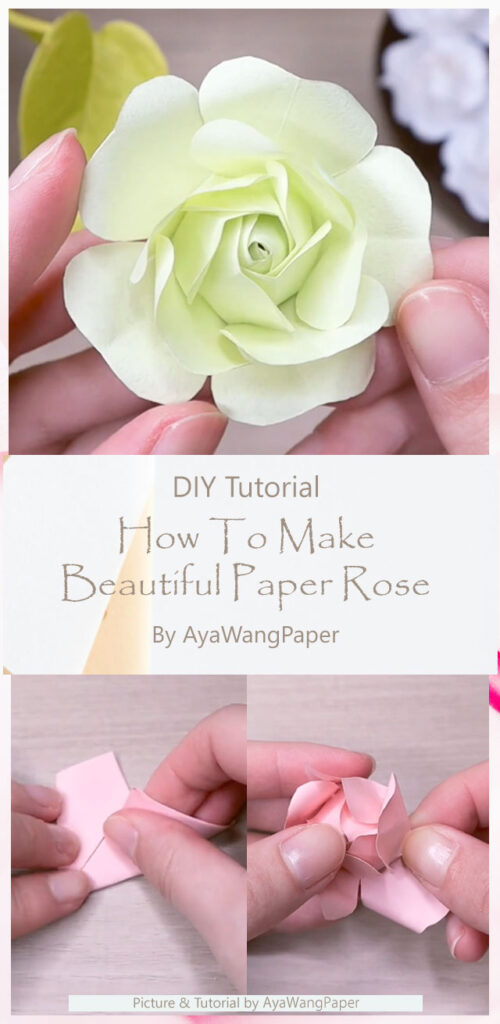 How To Make Beautiful Paper Rose By AyaWangPaper