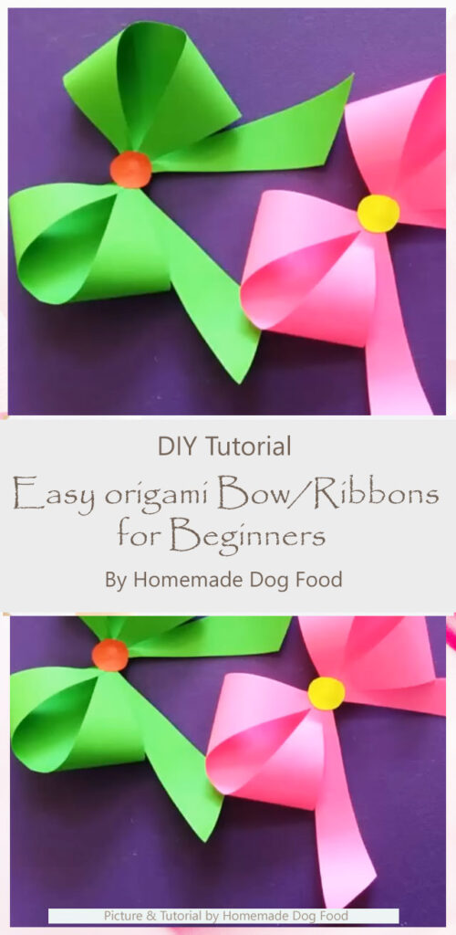 Easy origami Bow/Ribbons for Beginners By Homemade Dog Food