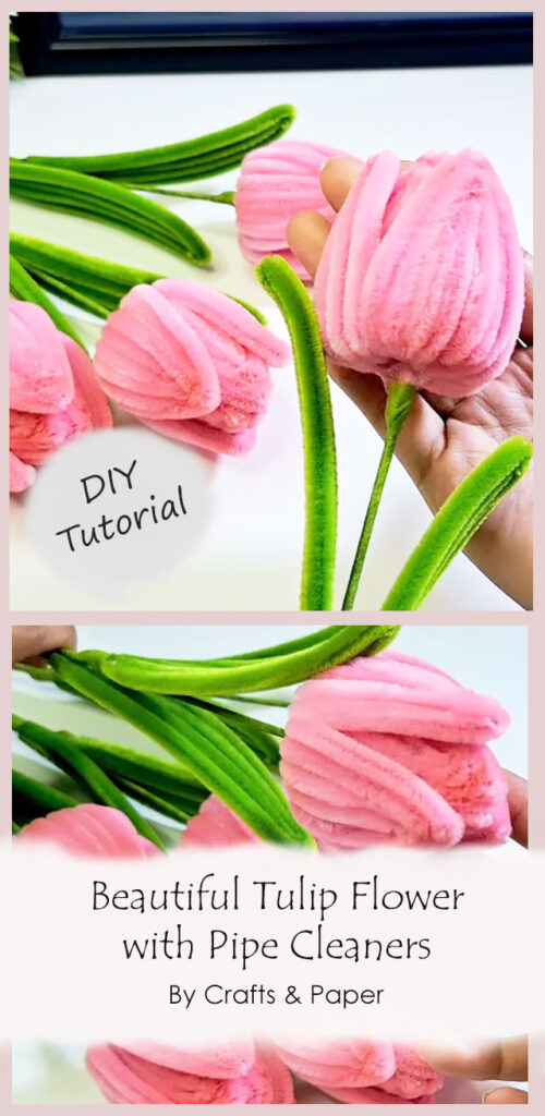 Beautiful Tulip Flower with Pipe Cleaners By Crafts & Paper