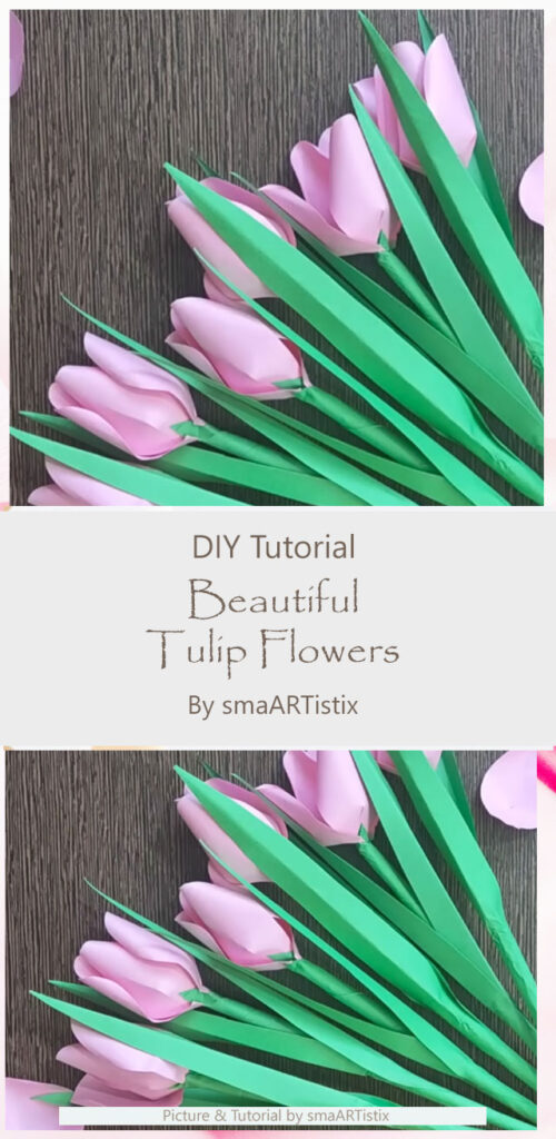 Beautiful Tulip Flowers By smaARTistix
