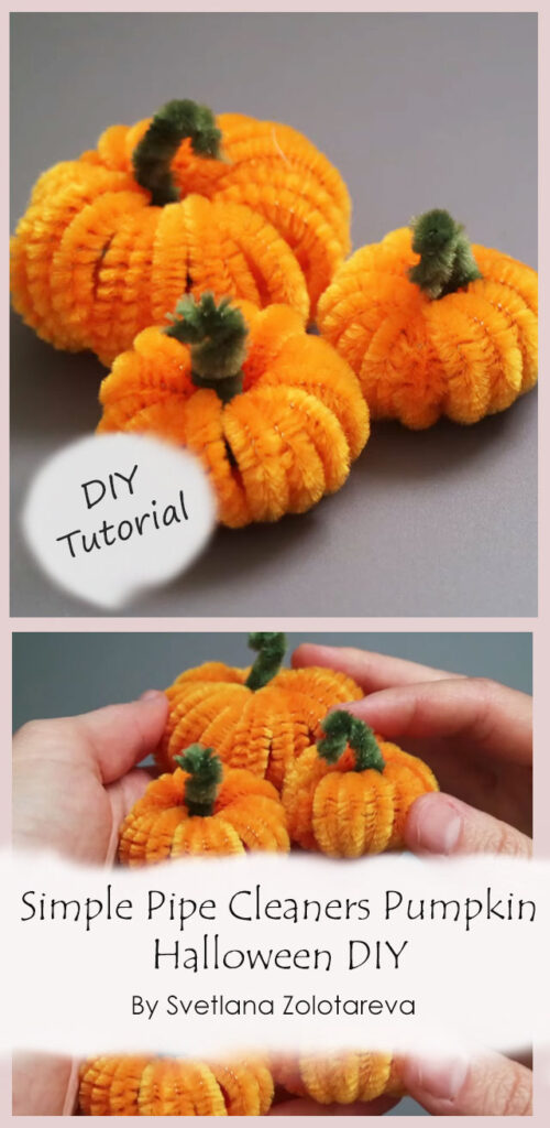 Simple Pipe Cleaners Pumpkin Halloween DIY By Svetlana Zolotareva