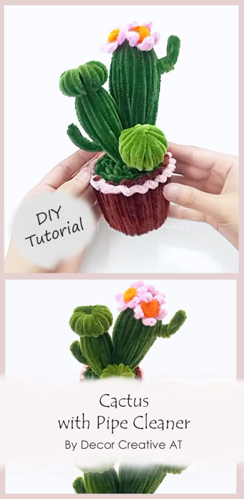 Cactus with Pipe Cleaner By Decor Creative AT