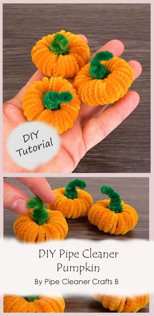 DIY Pipe Cleaner Pumpkin By Pipe Cleaner Crafts B
