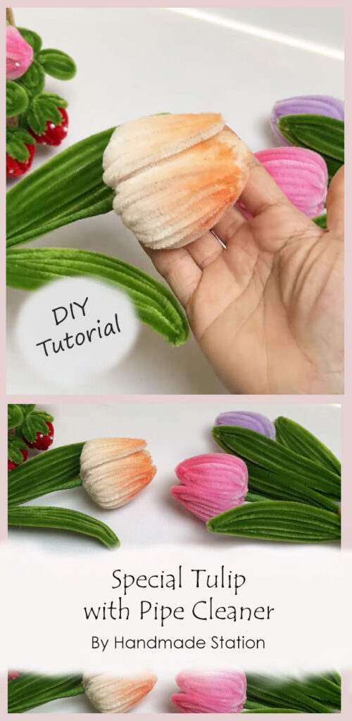 Special Tulip with Pipe Cleaner By Handmade Station