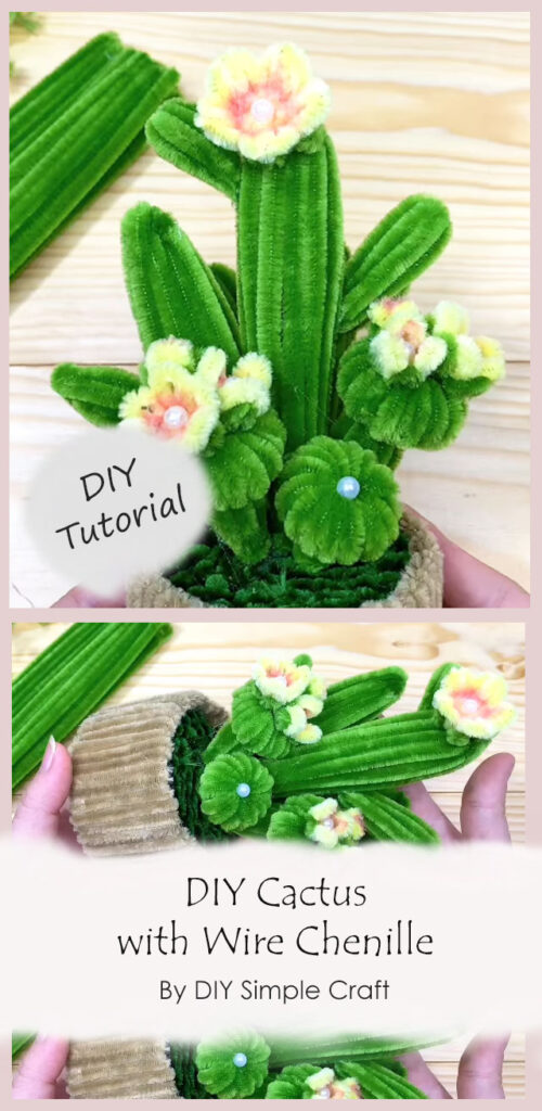 DIY Cactus with Wire Chenille By DIY Simple Craft