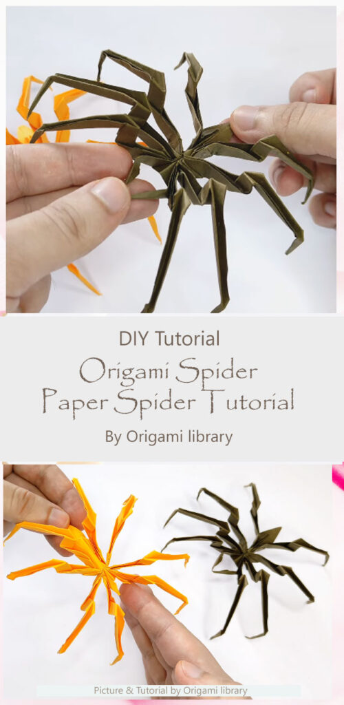 Origami Spider - Paper Spider Tutorial By Origami library