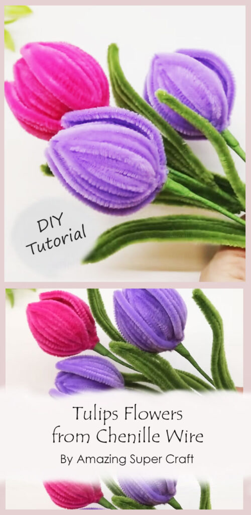 Tulips Flowers from Chenille Wire By Amazing Super Craft