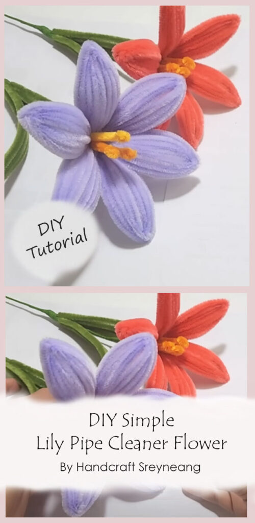 DIY Simple Lily Pipe Cleaner Flower By Handcraft Sreyneang