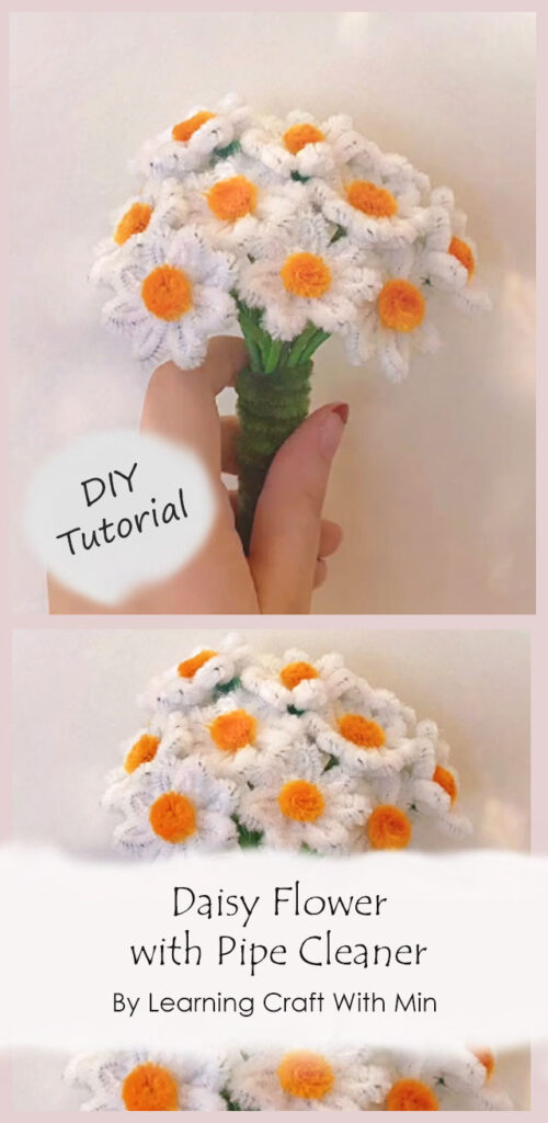 Daisy Flower With Pipe Cleaner By Learning Craft With Min