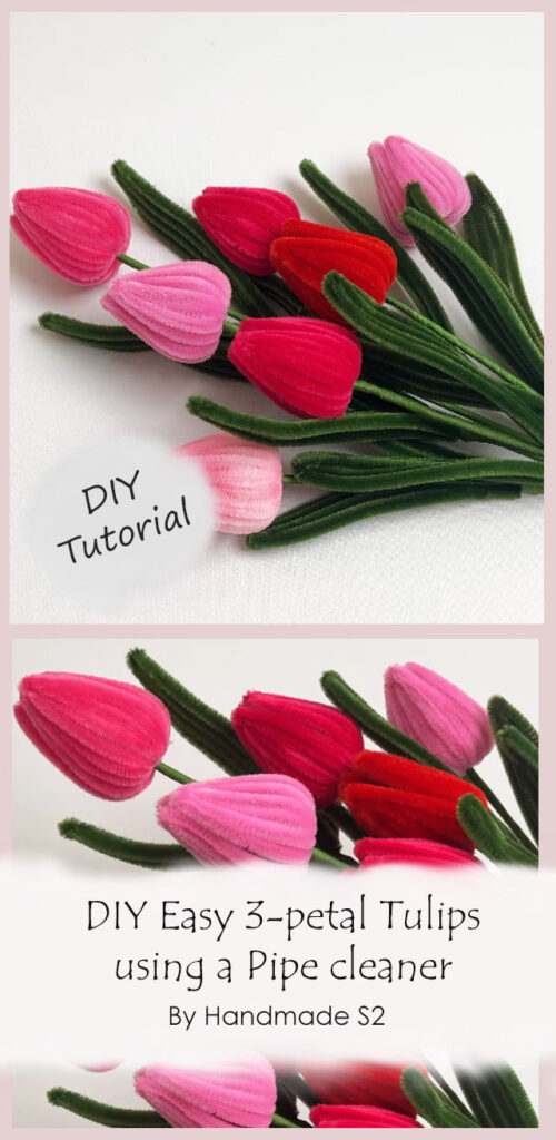 DIY Easy 3-petal Tulips using a Pipe cleaner By Handmade S2