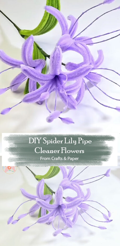 1. DIY Spider Lily Pipe Cleaner Flowers By Crafts & Paper