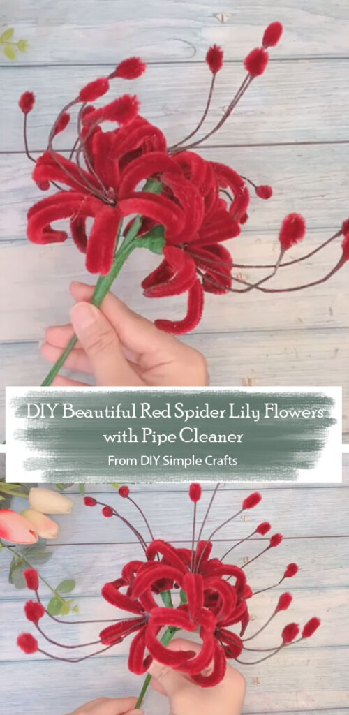 DIY Beautiful Red Spider Lily Flowers with Pipe Cleaner By DIY Simple Crafts