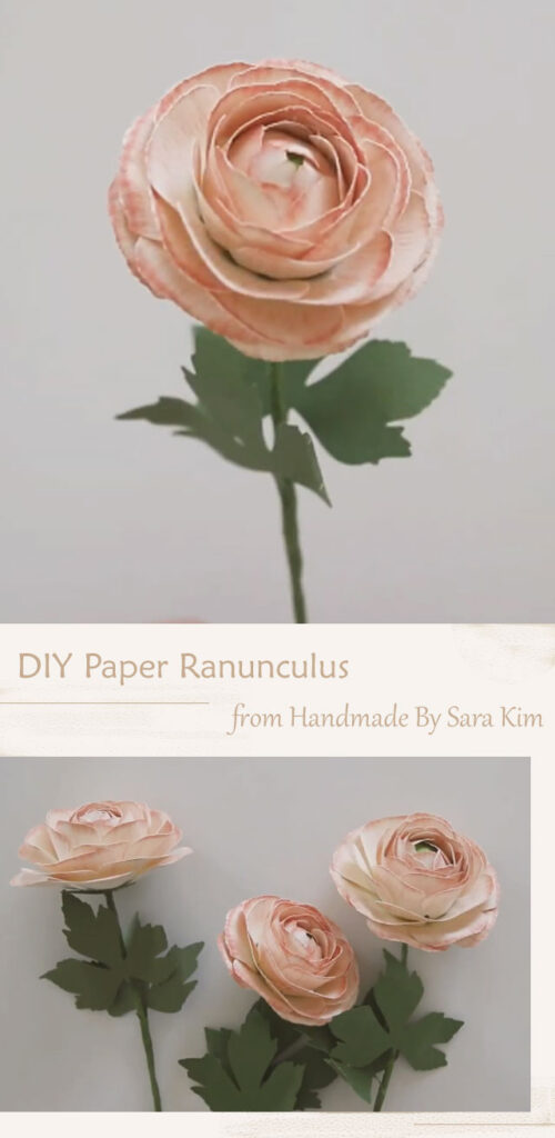 DIY Paper Ranunculus By Handmade By Sara Kim