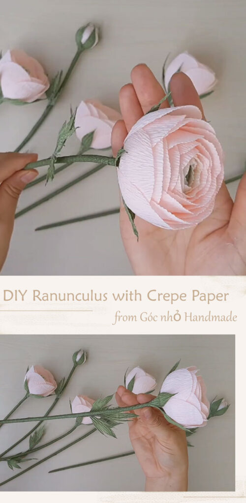 DIY Ranunculus with Crepe Paper By Góc nhỏ Handmade